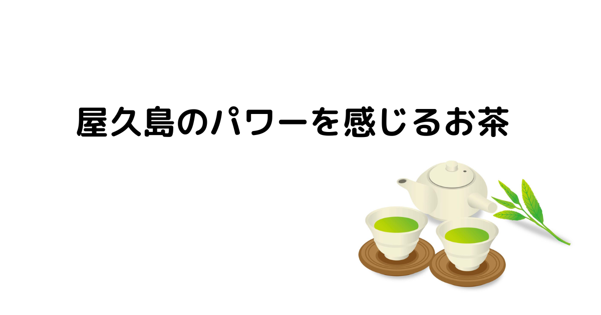 屋久島のパワーを感じるお茶3種